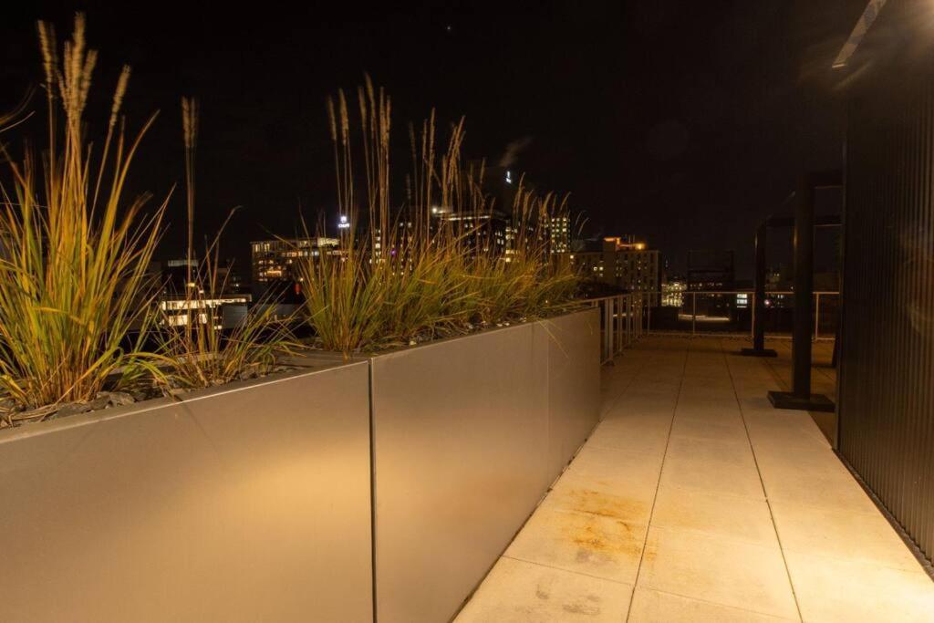 Bel Appartement Au Centre-Ville Montréal Dış mekan fotoğraf